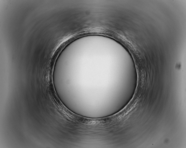 X0000097961166200804071023