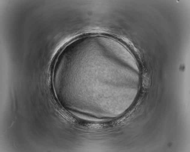 X0000097961167200804071023