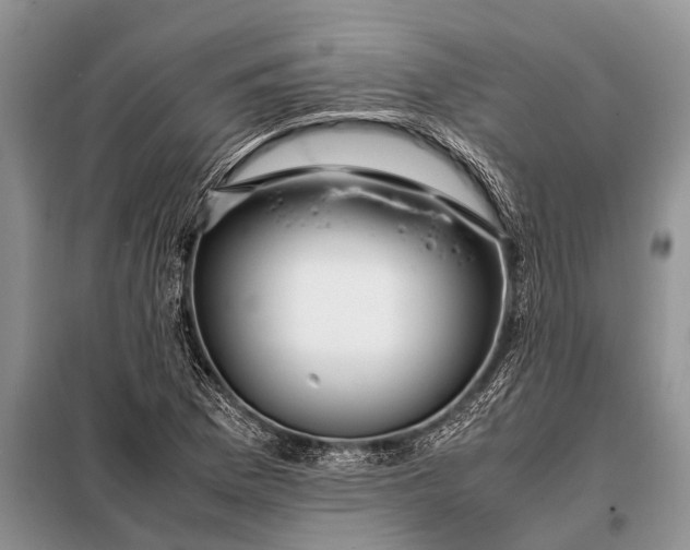 X0000097961169200804071023