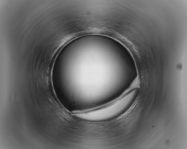X0000097961170200804071023