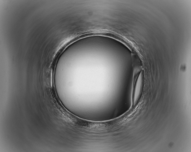 X0000097961171200804071023