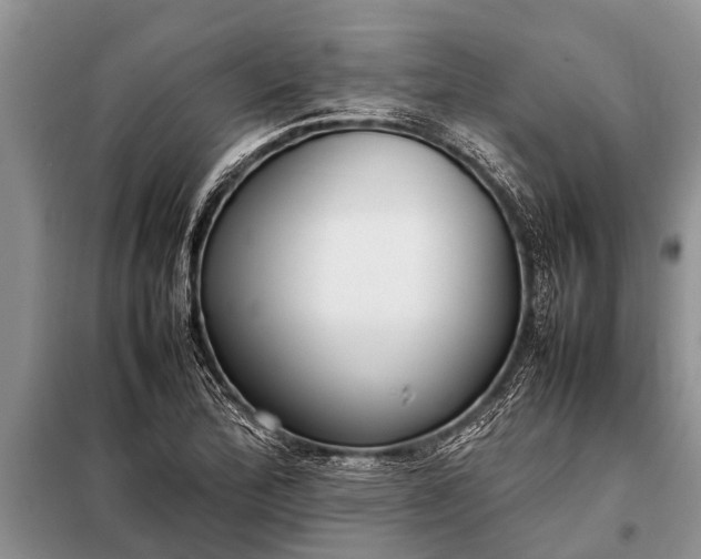 X0000097961172200804071023