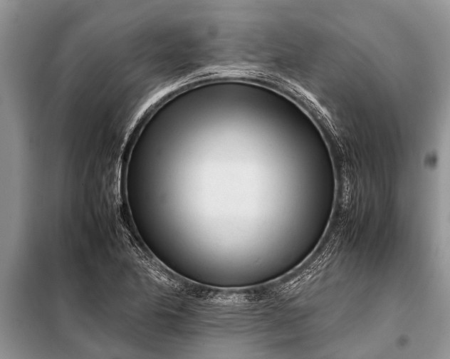 X0000097961174200804071023