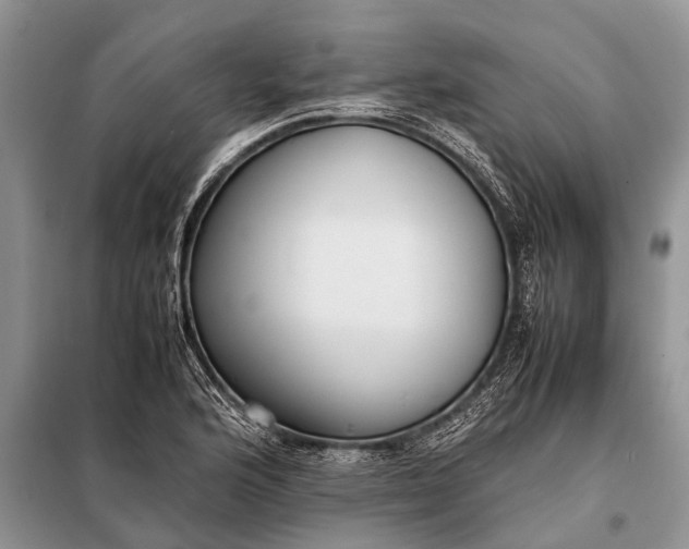 X0000097961176200804071023