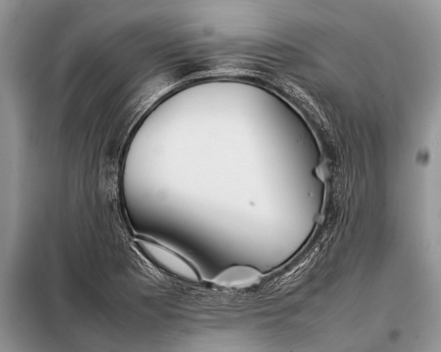 X0000097961177200804071023