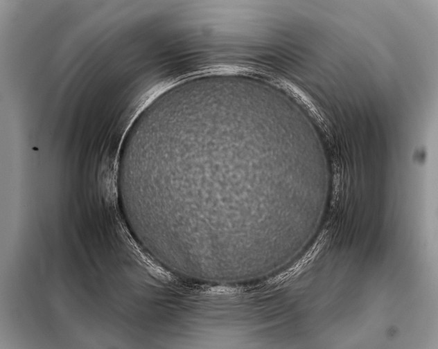 X0000097961178200804071023