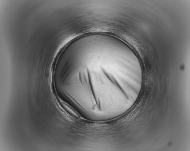 X0000097961179200804071023
