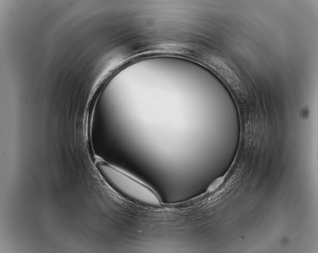 X0000097961180200804071023