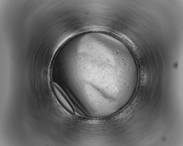 X0000097961182200804071023