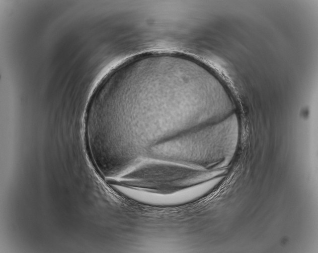 X0000097961183200804071023