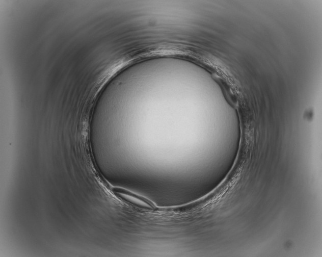 X0000097961185200804071023