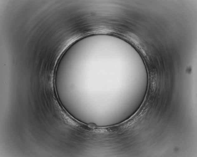 X0000097961186200804071023