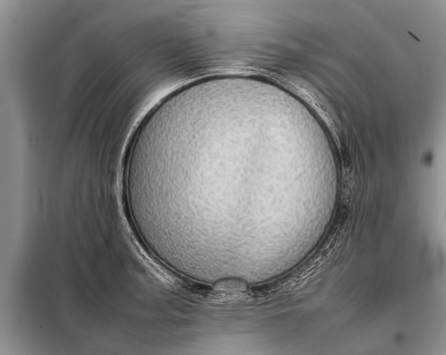 X0000097961187200804071023