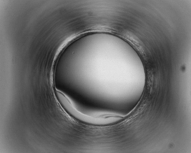 X0000097961188200804071023