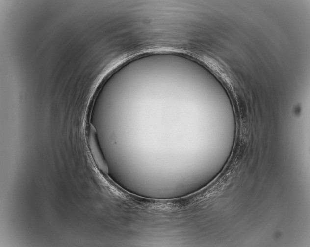 X0000097961189200804071023
