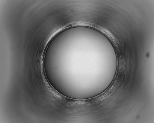 X0000097961190200804071023