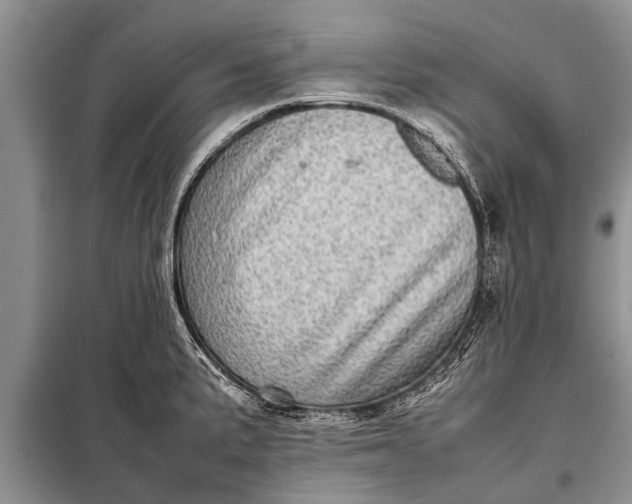 X0000097961191200804071023