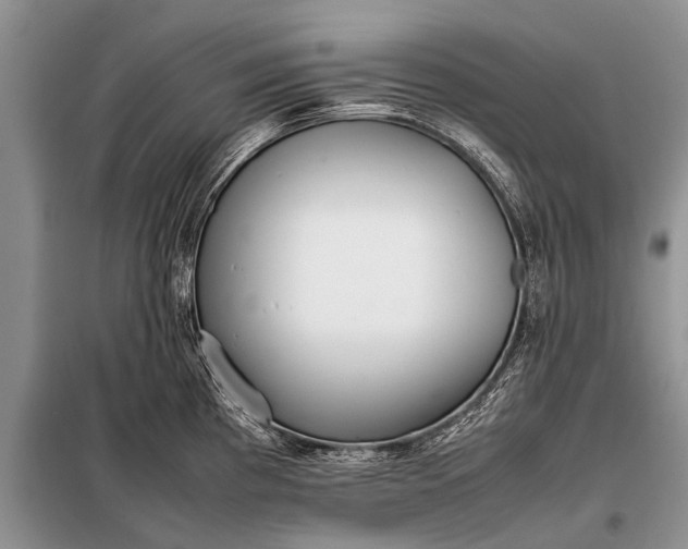 X0000097961193200804071023