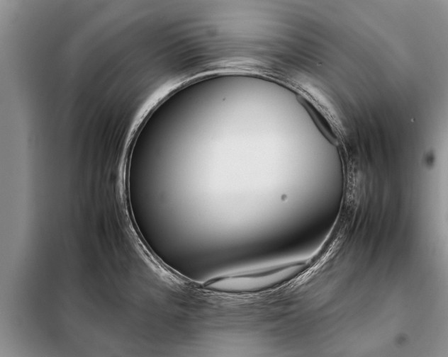 X0000097961196200804071023
