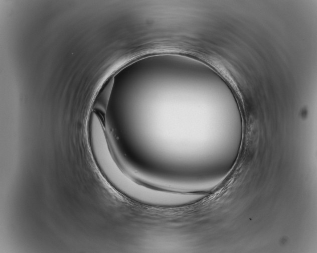 X0000097961197200804071023