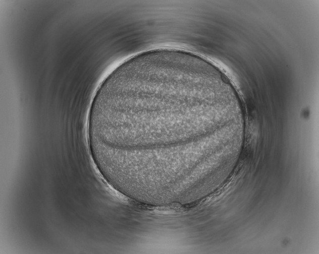 X0000097961199200804071023