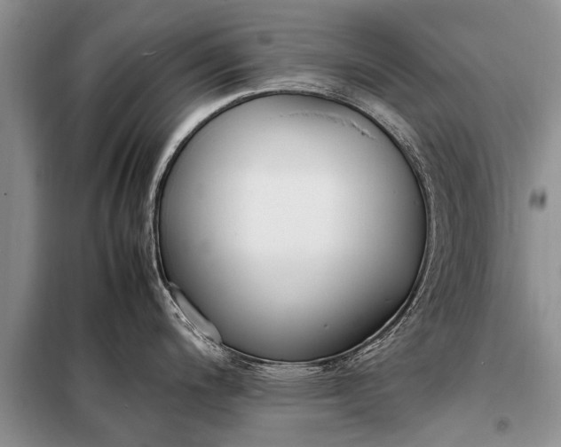 X0000097961200200804071023