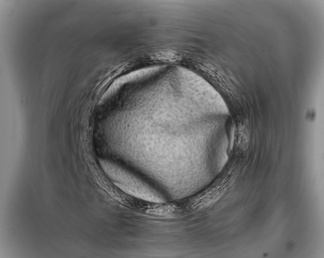 X0000097961201200804071022
