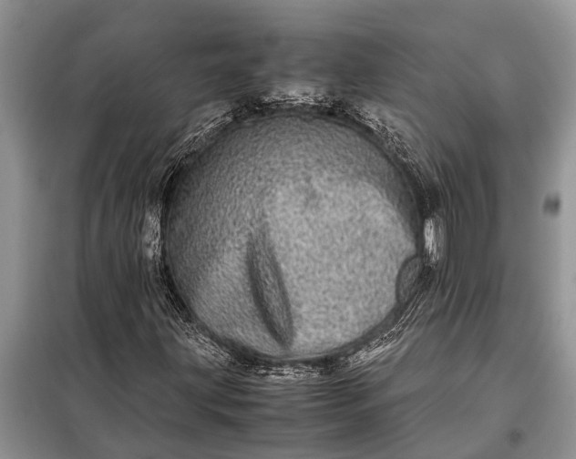 X0000097961203200804071022