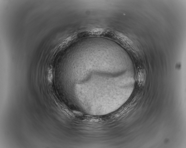 X0000097961204200804071022