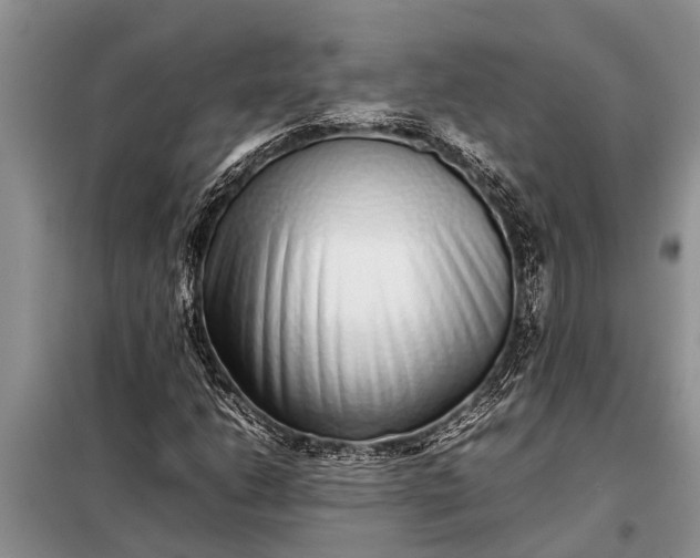 X0000097961206200804071022
