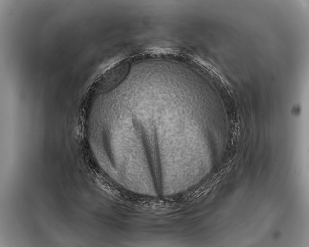 X0000097961207200804071022