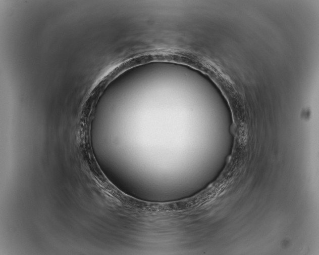 X0000097961208200804071022