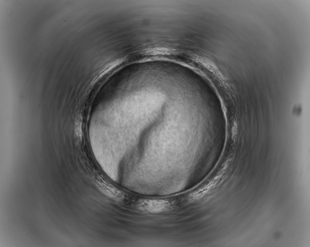 X0000097961209200804071022