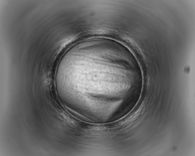 X0000097961210200804071022