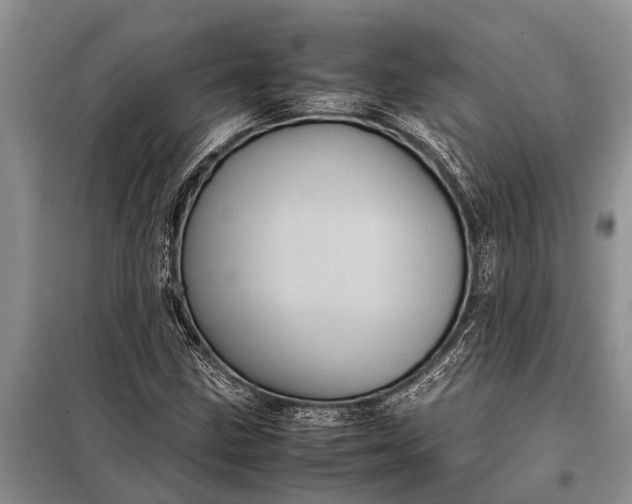 X0000097961211200804071022