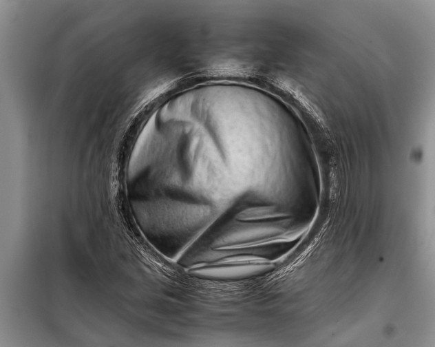 X0000097961213200804071022