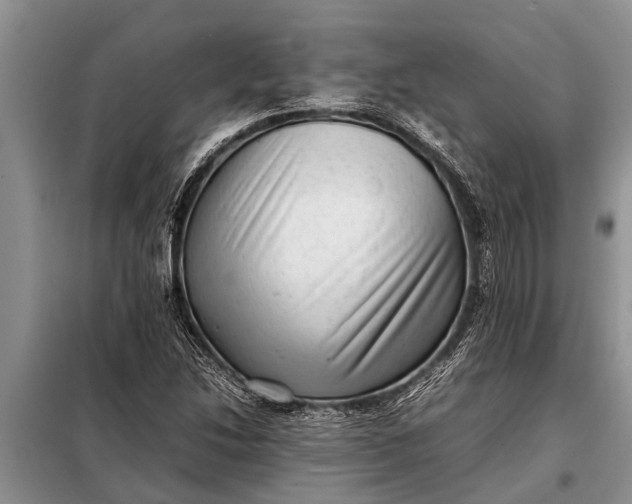 X0000097961214200804071022