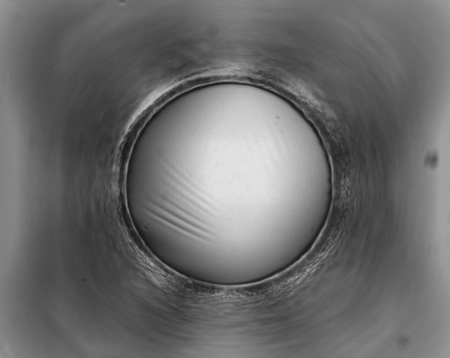 X0000097961216200804071022