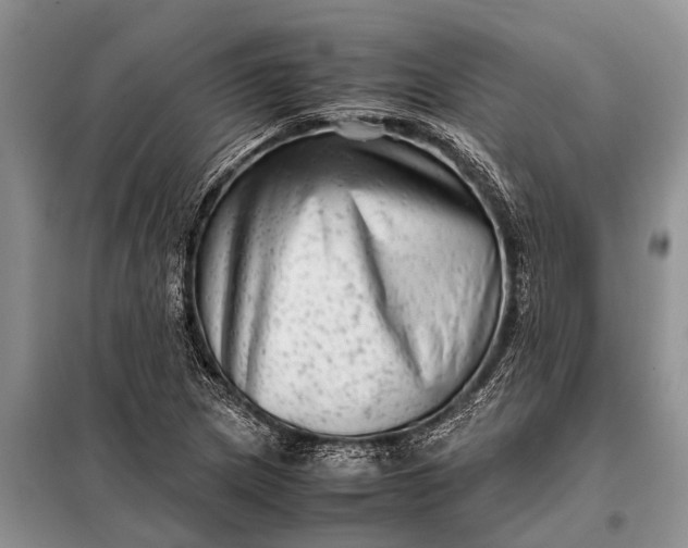 X0000097961217200804071022