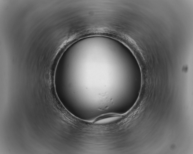 X0000097961218200804071022