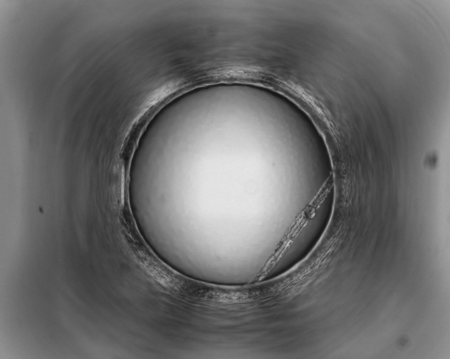 X0000097961219200804071022