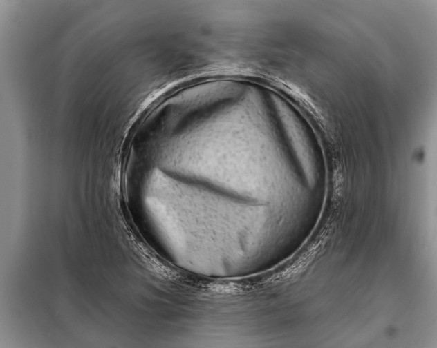 X0000097961220200804071022