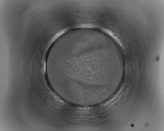 X0000097961221200804071022