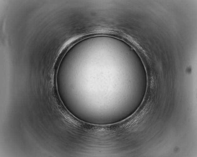 X0000097961222200804071022