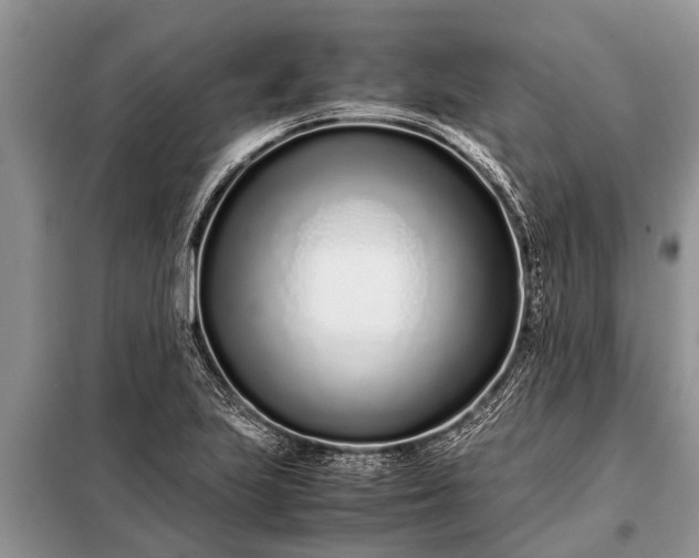 X0000097961223200804071022