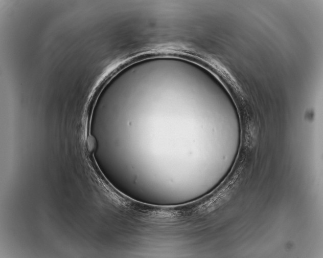 X0000097961224200804071022