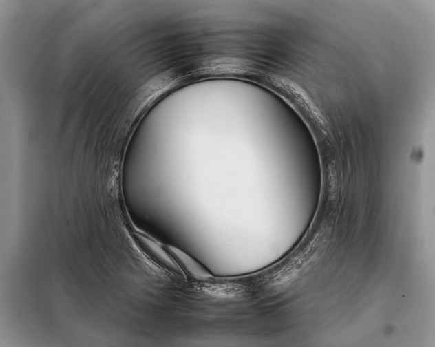 X0000097961225200804071022