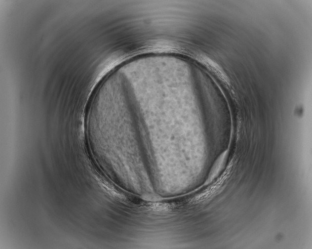 X0000097961226200804071022