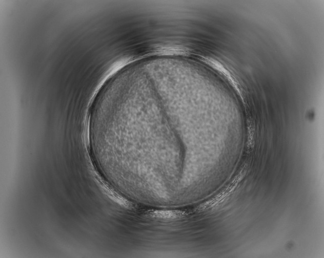 X0000097961227200804071022