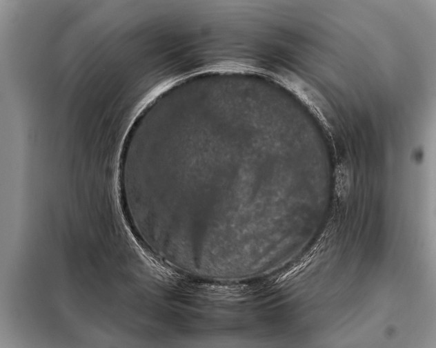 X0000097961229200804071022